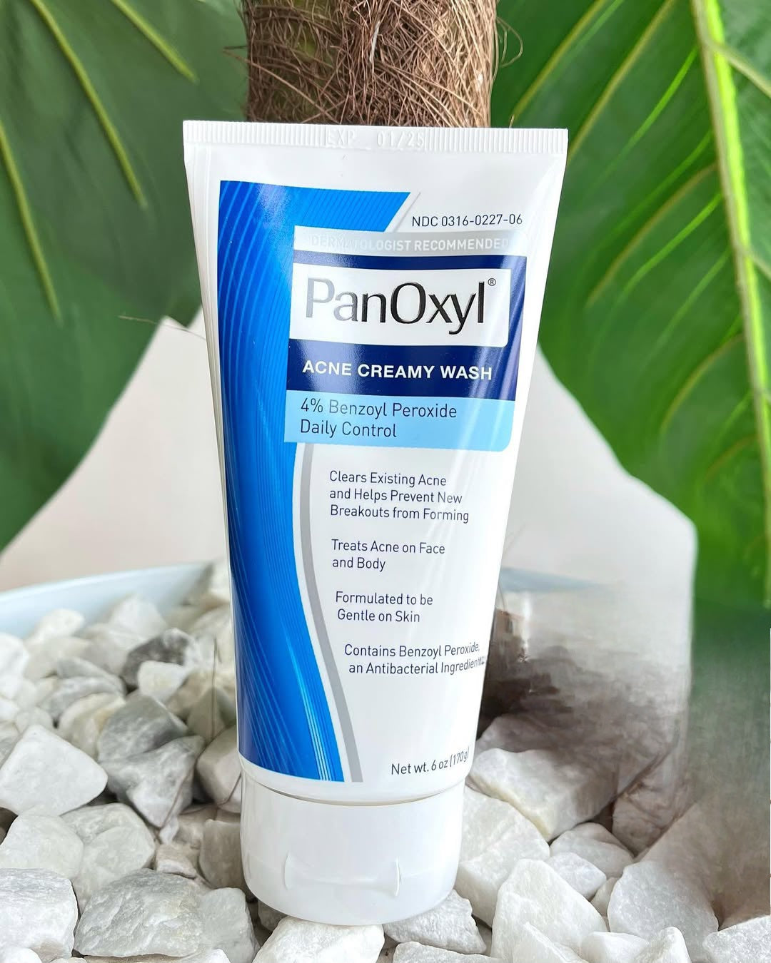 PanOxyl face wash