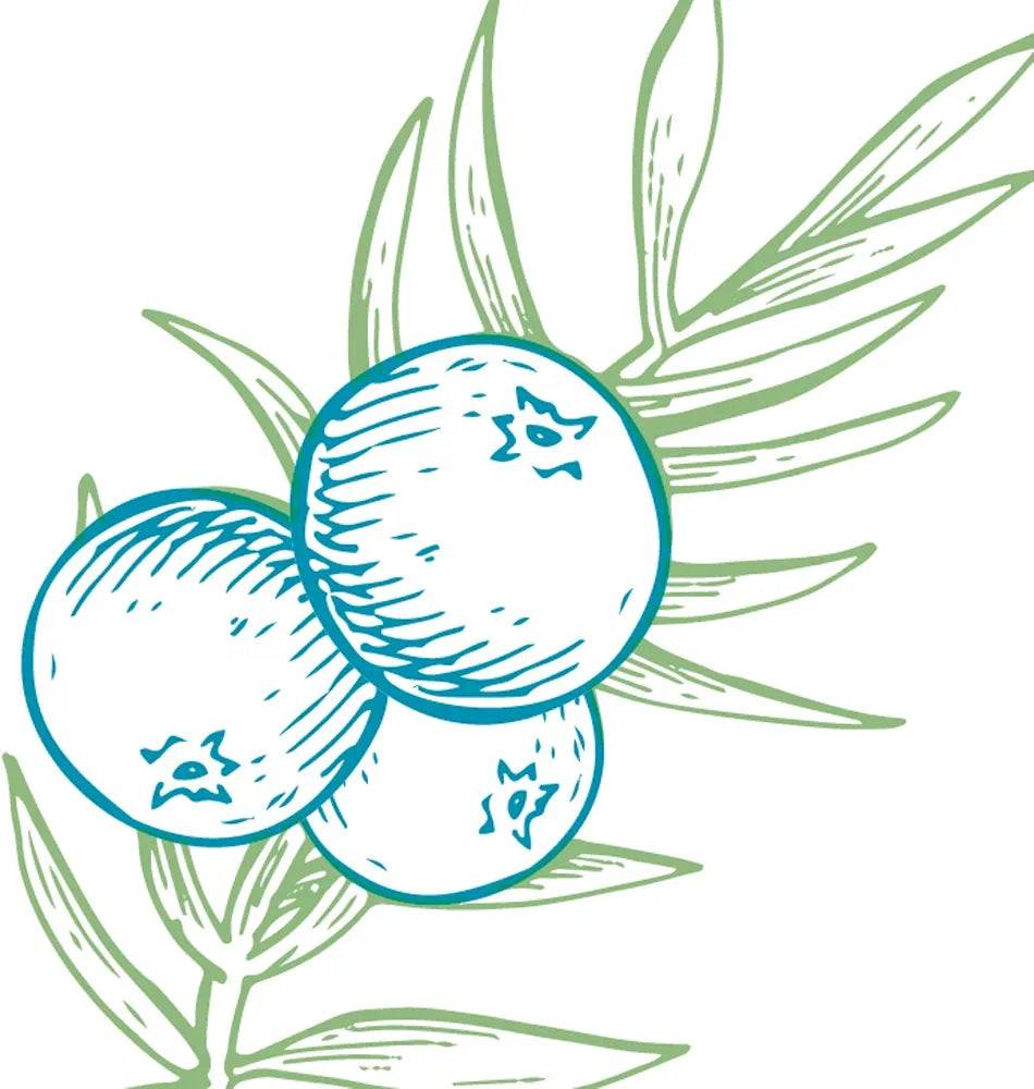 Essentials Deodorant 'Aluminium,parabens and phthalates free'